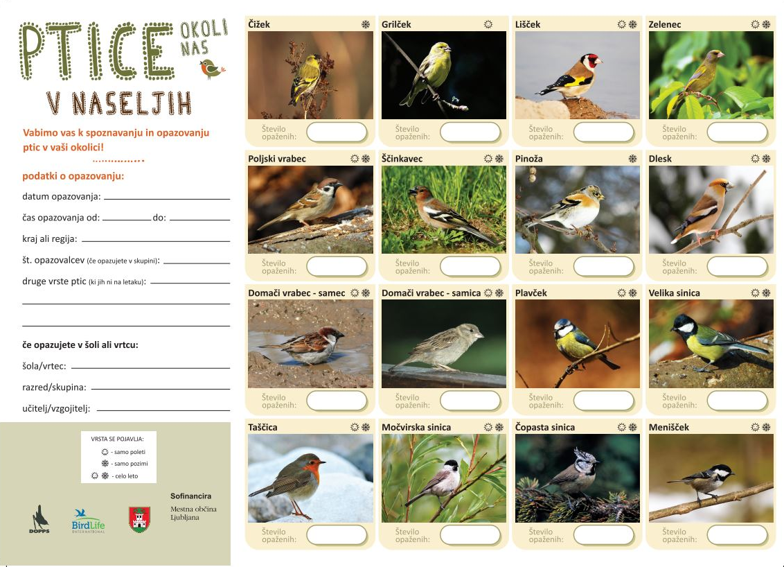 ptice modrinov večer